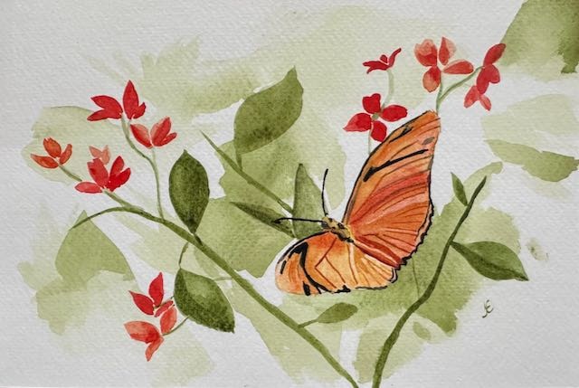 Orange butterfly