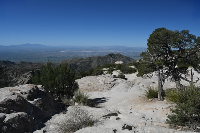 Mount Lemmon Overlook